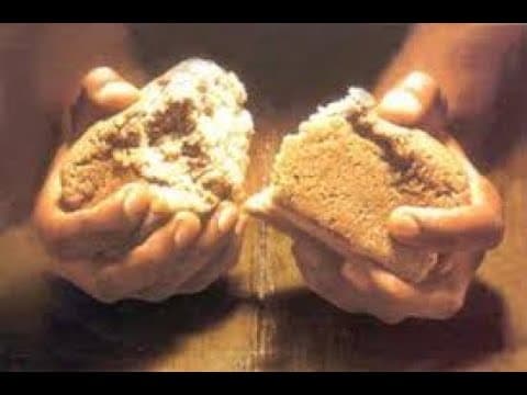 Turno Devocional | 19/01/2025